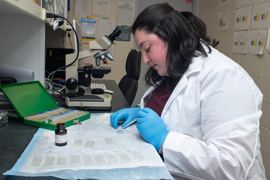 A student in a white lab coat prepares a row of microscope slides