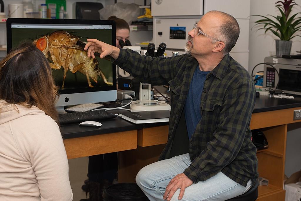 Professor Ganter points to a fruit fly on a monitor
