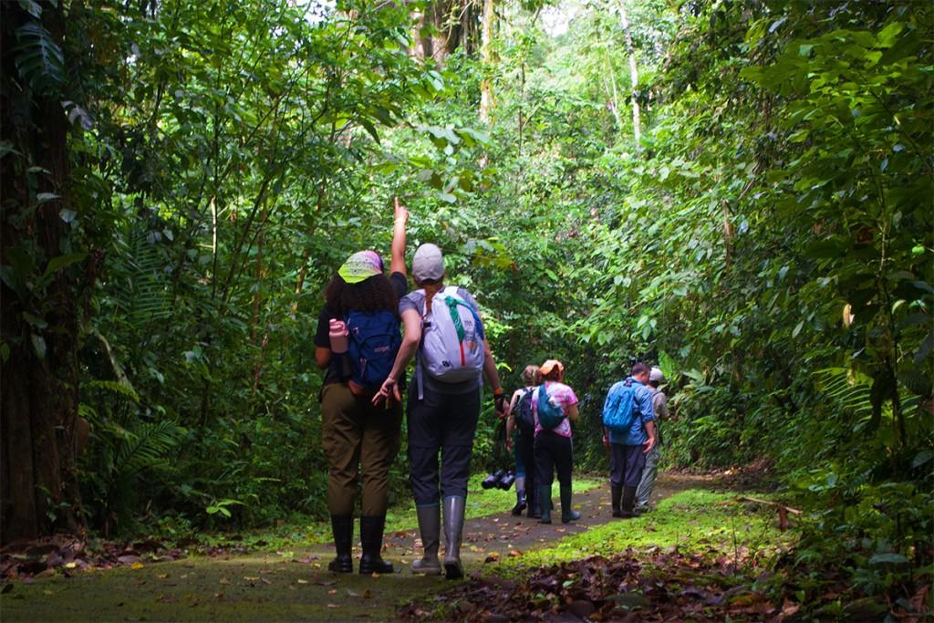 联合国东北大学生物科学专业的学生在参加旅游课程时在哥斯达黎加的雨林中散步
