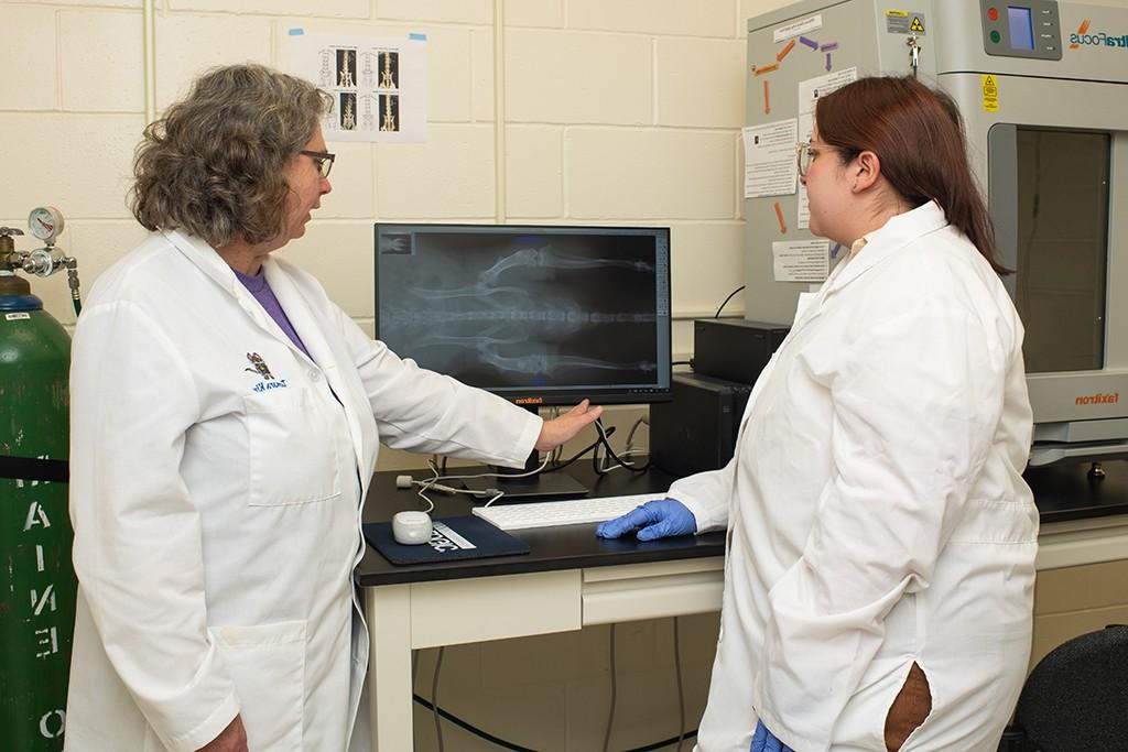 A professor and a student reviewing an x-ray on a monitor
