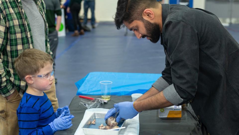 在联合国大脑博览会期间，一名学生向一名儿童展示大脑标本