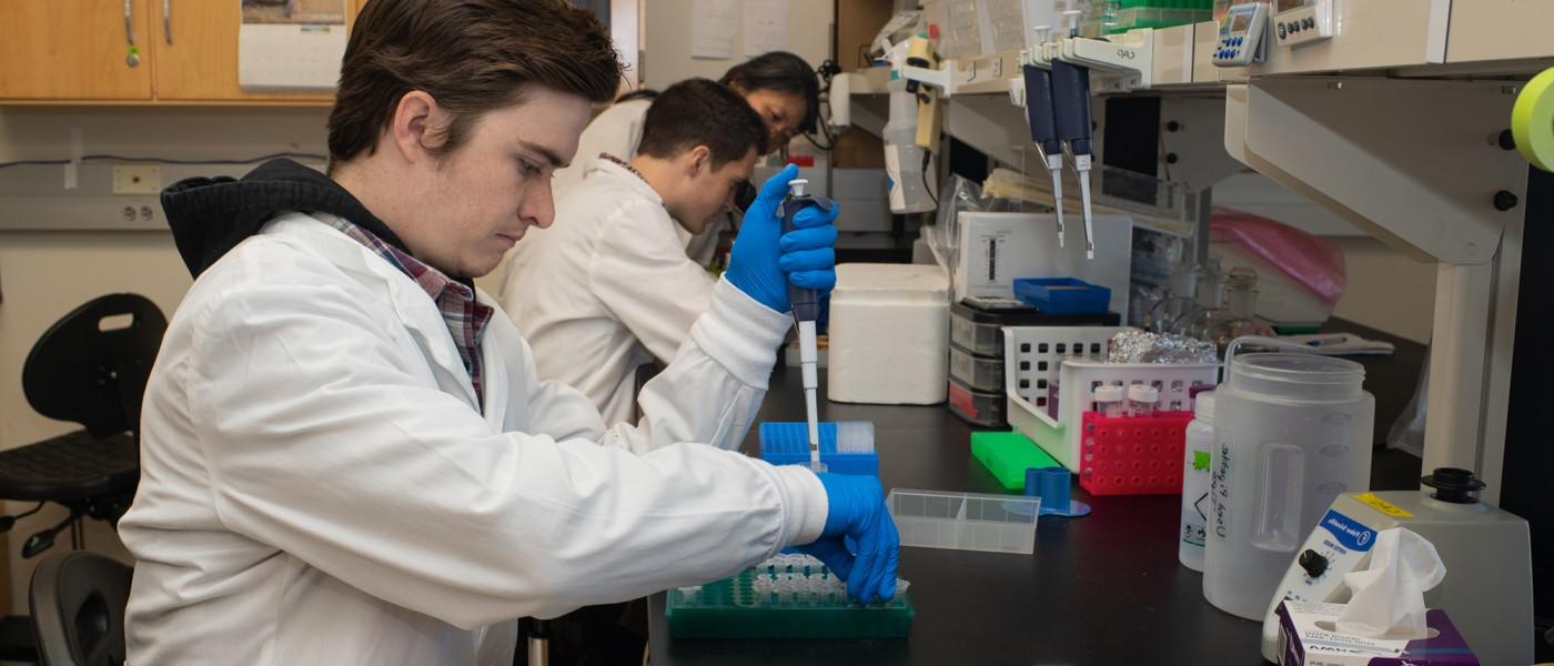 A row of students working on a lab