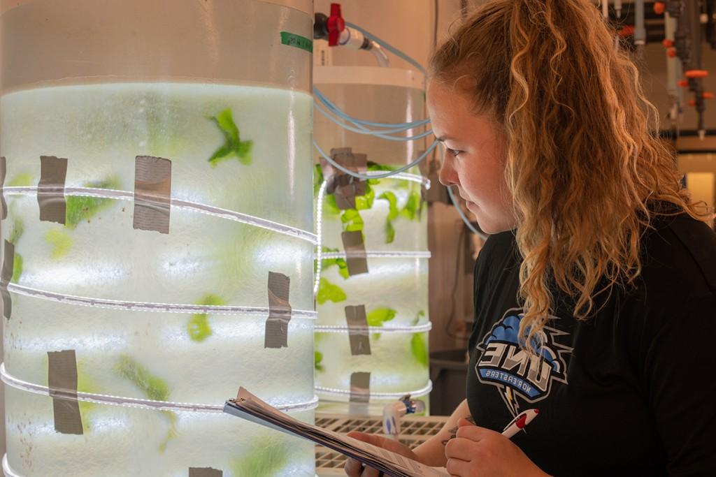A student takes notes on pieces of sea kelp in the marine science lab